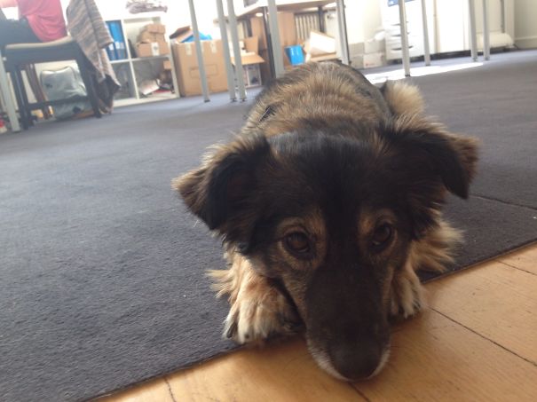 It's 5 Pm, Can We Go Home Now?