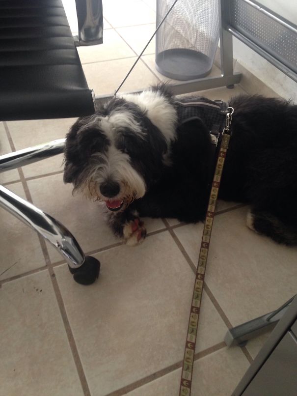 Pol Is Having A Hard Day.