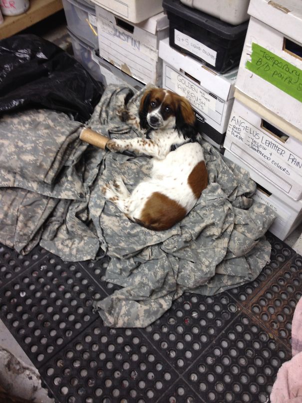 Breakdown Artist/costumer