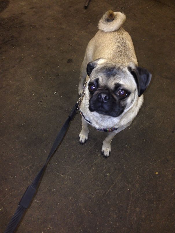 Hanging Out In The Shop