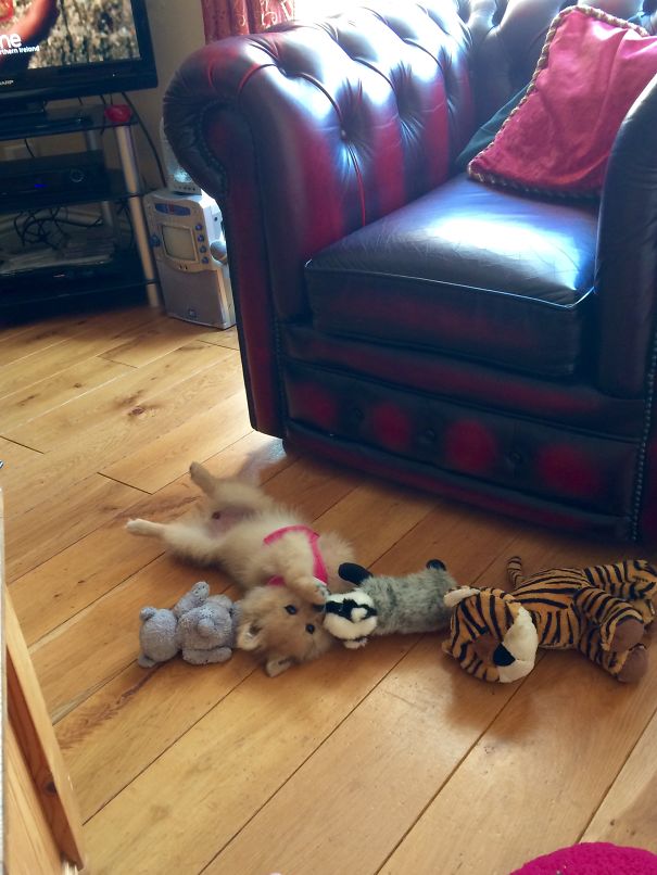 I'm Sexy And I Know It