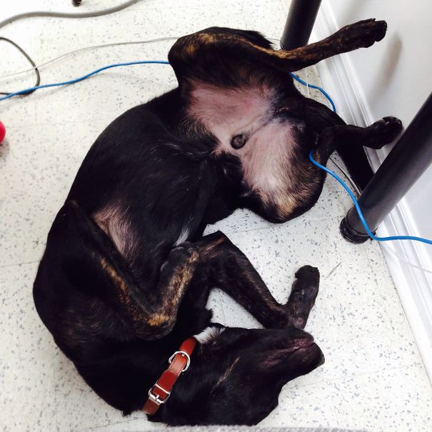 Don't Bother Me, I'm On My Break..