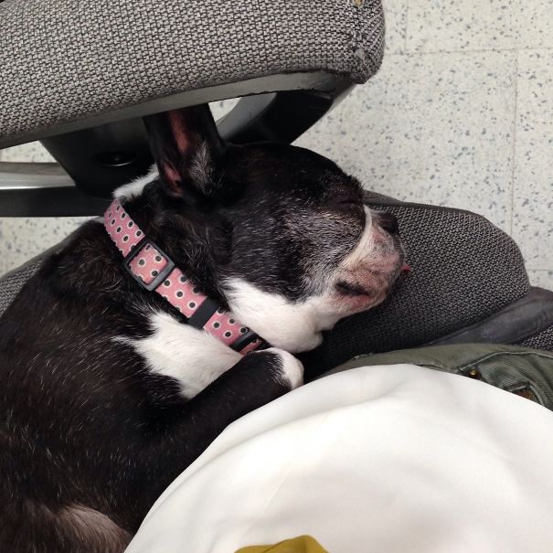 Just Warming Your Chair Mom!