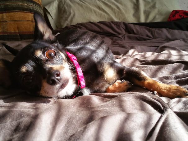 Everyone Knows That Sex Sell...everything!