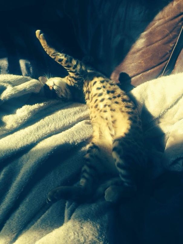 Pssssh French Girls.....i'm One Of A Kind