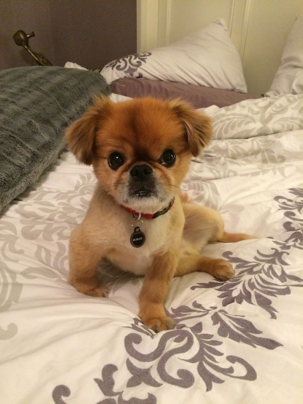 You Know You Want To Love On Me.