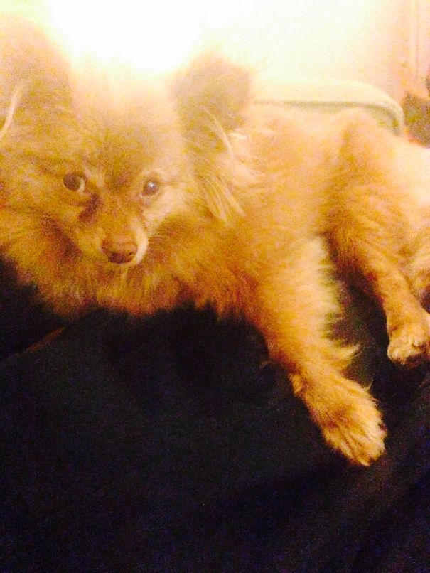 Too Much For You To Handle