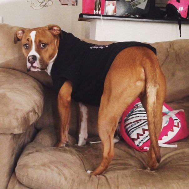 I'm No French Girl But You Can Draw Me Like One