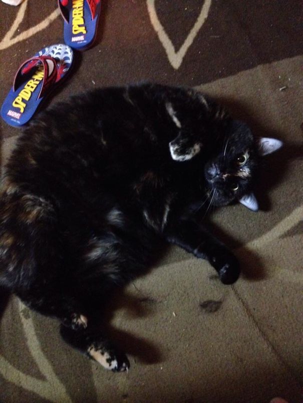 Nephthys In One Of Her More Graceful Moments