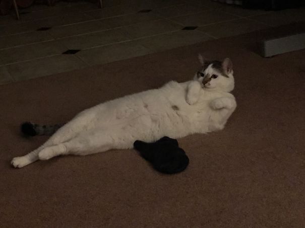 Draw Me Like One Of Your French Girls...