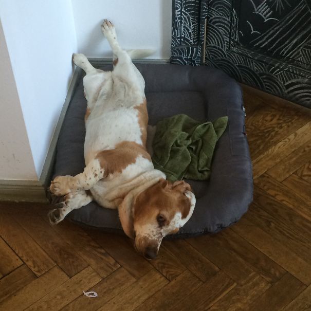 Draw Me Like One Of Your French Girls ❤️