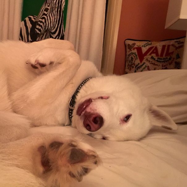 Does This Angle Work?