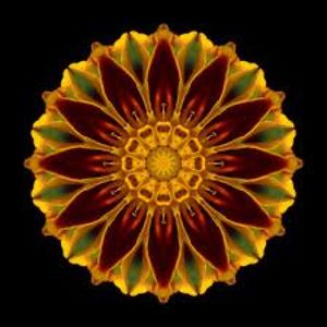 alice_thornton3 avatar