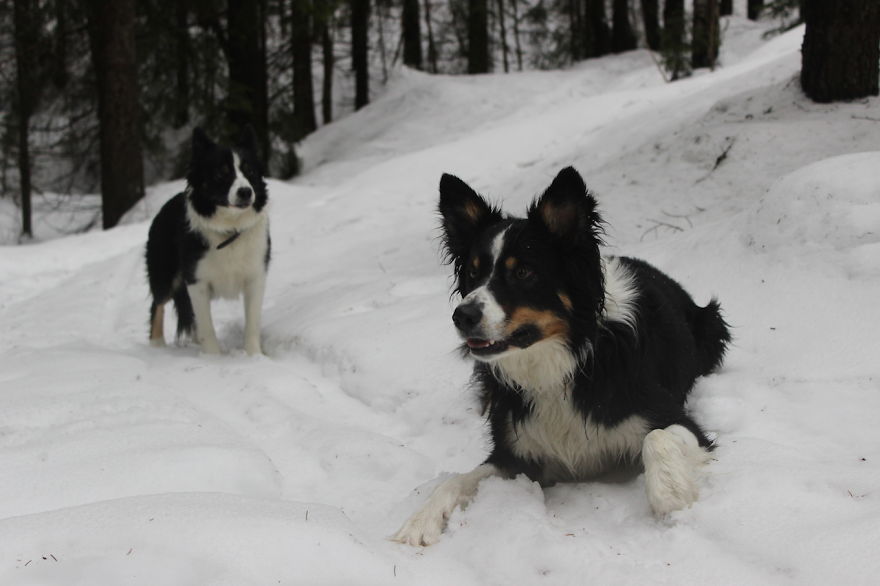 My Favorite Pictures From My Dog-walking Adventures My Favorite Pictures From My Dog-walking Adventures