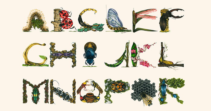 This Insect Alphabet Took Me 2 Years To Complete