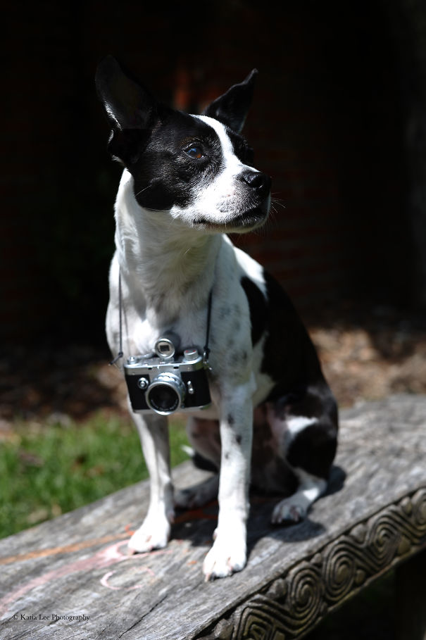 Lily's Mum Is A Photographer, So She's Shooting The B Roll.