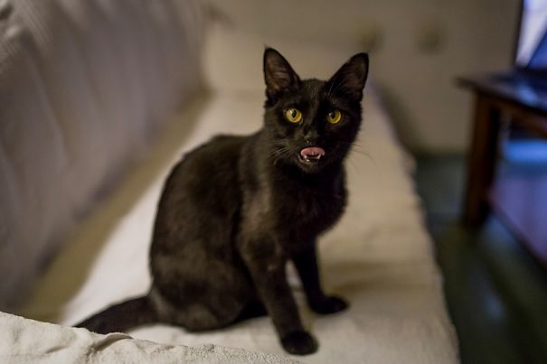 Mmm, You Look So Delicious.