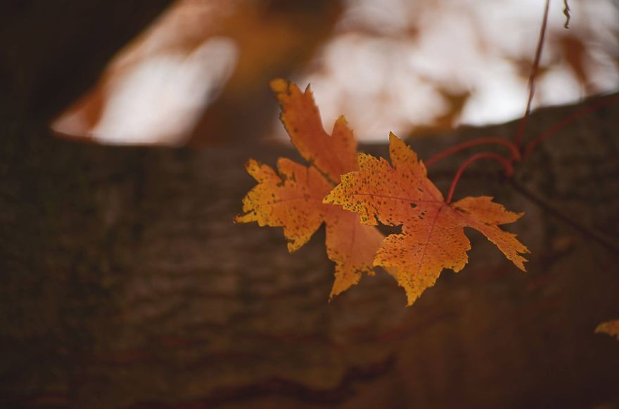 My Entry To The Fifth Annual Exposure Photography Contest