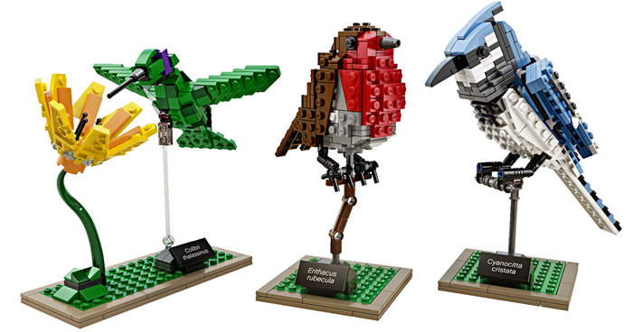 Bird Enthusiast Creates LEGO Birds And 10,000 Supporters Get LEGO To Mass-Produce Them