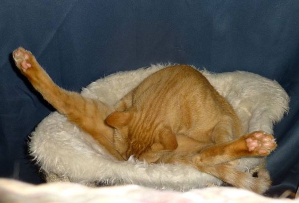 Just A Minute While I Tidy Up. Then We Paint!