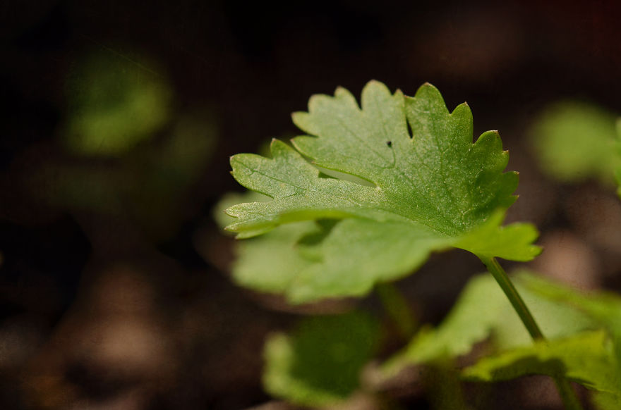 My Entry To The Fifth Annual Exposure Photography Contest