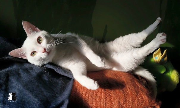 Draw Me Like One Of Your French Girls. Marcelka :)