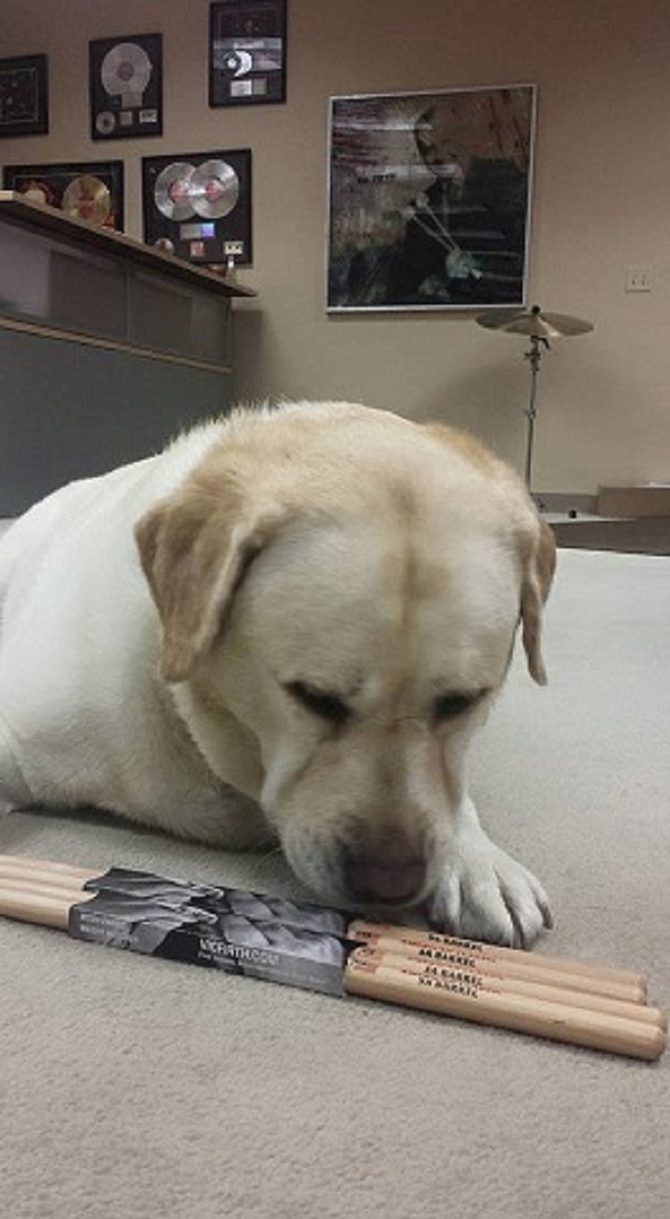 Molly Doing Some Quality Control