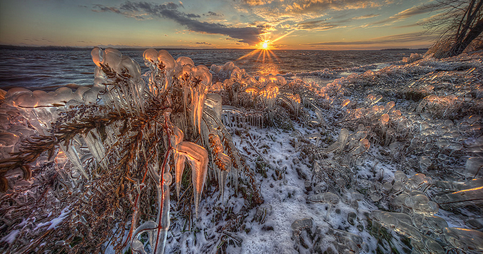 Otherworldly Photos Of A Fall Day In Montreal
