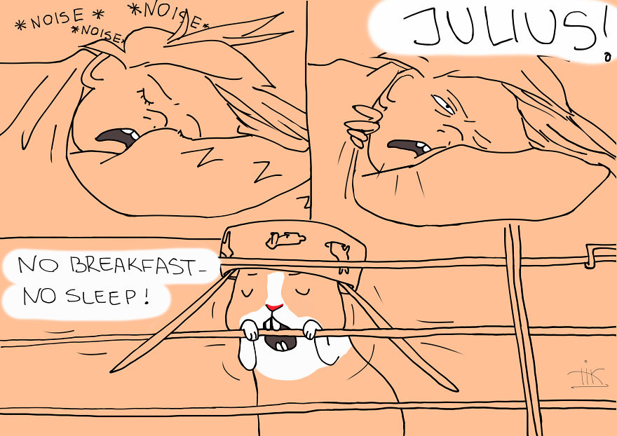 Everything You Always Wanted To Know About Rabbits, But Were Afraid To Ask