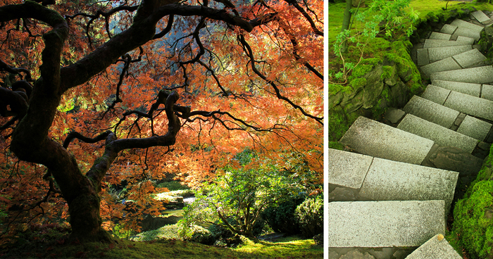 I Found Beauty Only 90 Minutes Away From My Home