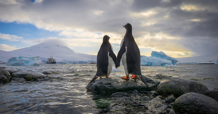 Cold Yet Beautiful Photos Of Antarctica Taken By AirPano