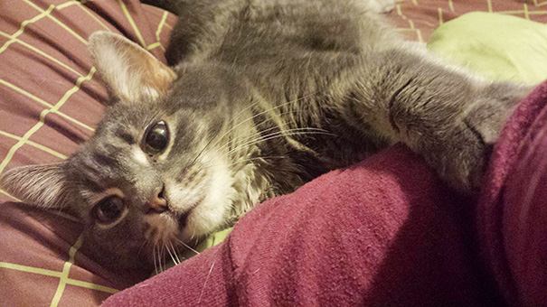 I Adopted My 9 Year Old From The Shelter Last Year. She Hasn't Left My Side Since