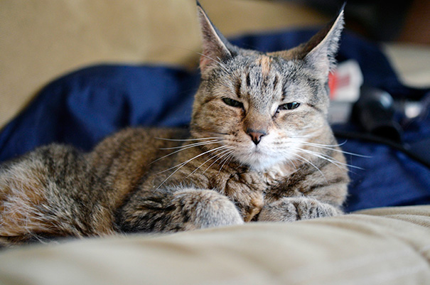 Adopted This 10 Year Old Lady From The Shelter Today