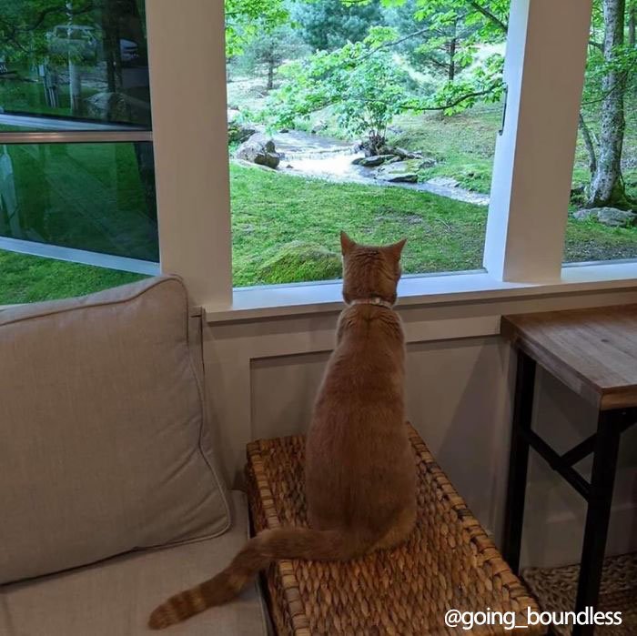 Couple Spends A Year And A Half Converting An Old '90s School Bus Into A Cozy Home, And It's Worth All The Work