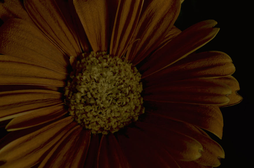 My Entry To The Fifth Annual Exposure Photography Contest