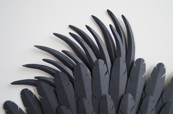 My Paper Art Inspired By Australian Birds