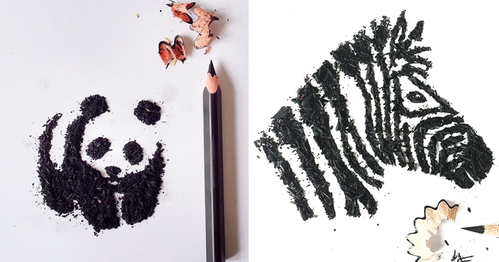 I Create Pencil Shaving Art For My 365-Day Project