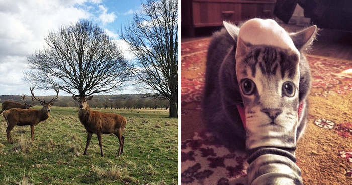 113 Photos Taken At Just The Right Moment