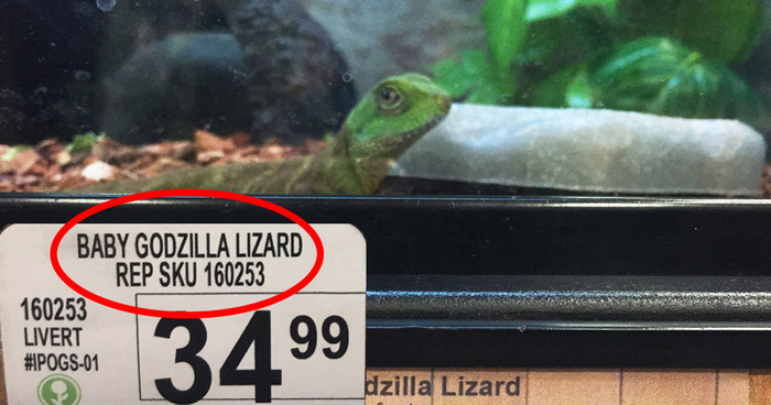 Guy Replaces Pet Names In Local Pet Store With New Hilarious Labels
