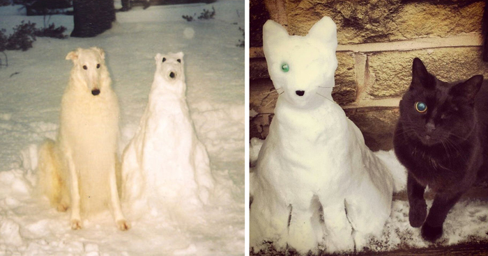 Snow Pets: People Are Turning Their Pets Into Snow Sculptures
