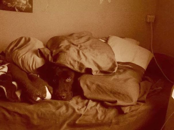 Escondido En La Cama De Mi Hija