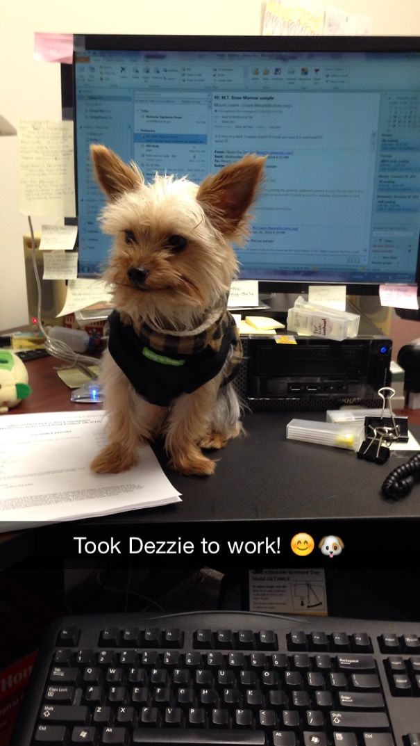 Blocking My View At Work. Can We Play Now?