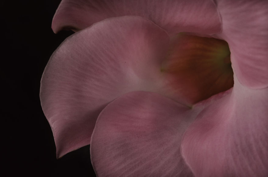 My Entry To The Fifth Annual Exposure Photography Contest