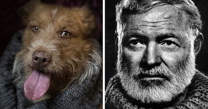 Poetic Dogs: Photo Project Compares Shelter Dogs And Famous Writers’ Expressions