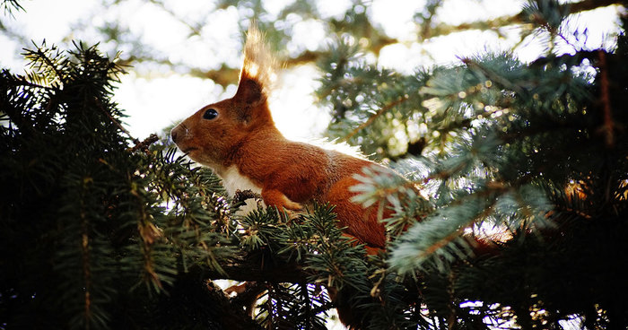 Magical Polish Countryside Through My Camera’s Lens