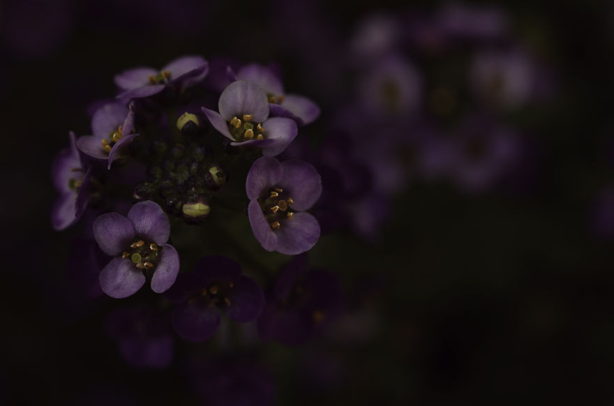 My Entry To The Fifth Annual Exposure Photography Contest