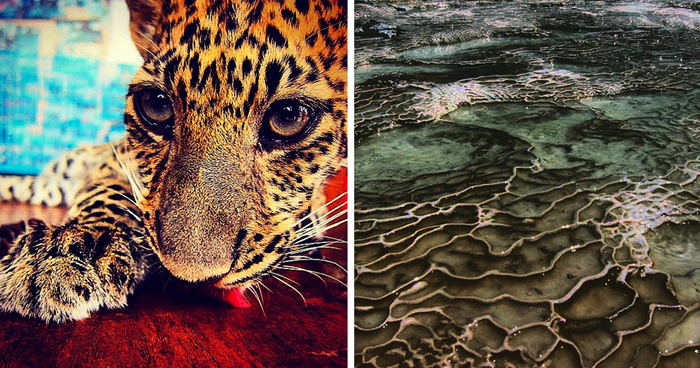 A State Of Awesomeness: My Collection Of Random Pictures From My Travels