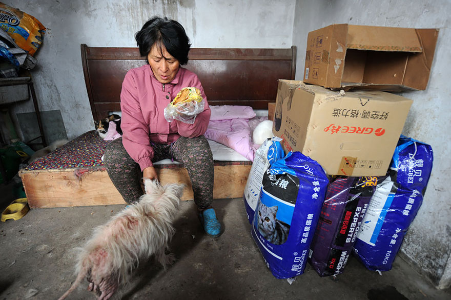 rescued-dogs-yulin-dog-meat-festival-china-13 rescued-dogs-yulin-dog-meat-festival-china-13