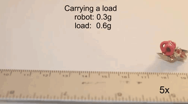 self-folding-miniature-origami-robot-mit-3