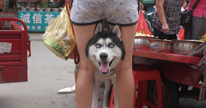 Self-Taught Chinese Street Photographer Takes China By Storm With His Perfectly Timed Photos